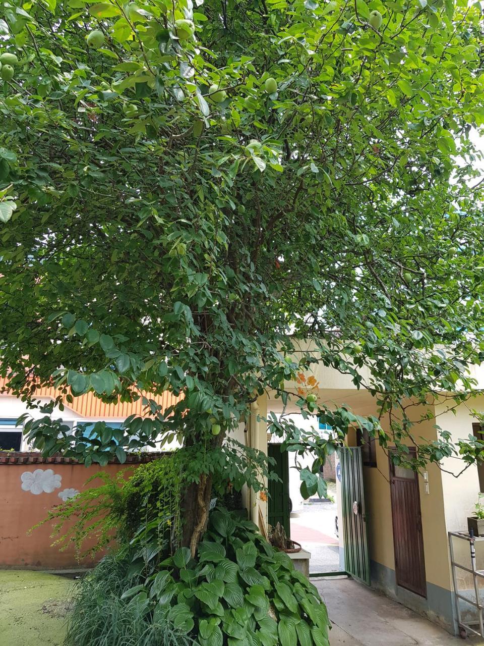 Jnw Minbak Hotel Damyang Exterior photo
